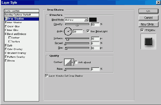  Layer Style      Drop Shadow