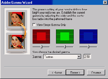  Adobe Gamma 